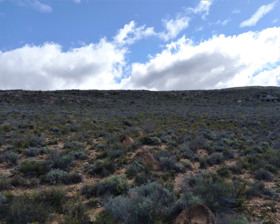 Commercial Property for Sale in Uniondale Rural Western Cape